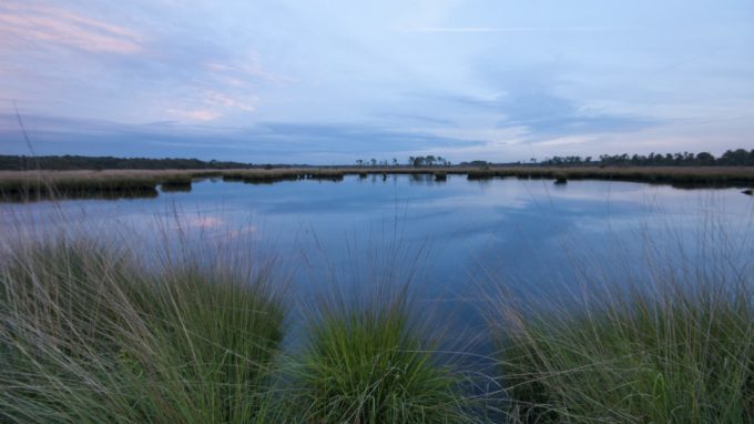 De Kalmthoutse Heide verkend….. en fotografisch vastgelegd!