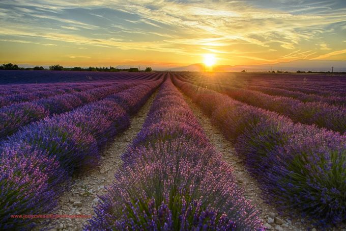 Provence: Licht, sfeer, landschappen en geveltjes