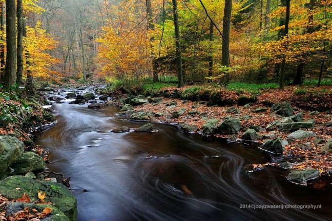 Ardennen: een fotografen feestje in de herfst