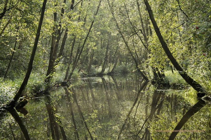 Natuurmonumenten en spiegeltje, spiegeltje ……….