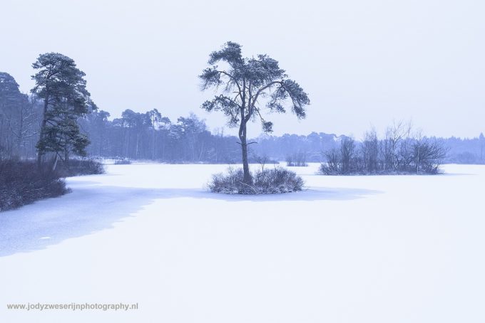 Wat de Nederlandse winterprikkels waard zijn