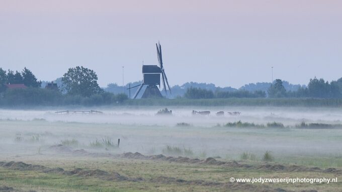 Wat valt er nou te fotograferen in augustus?