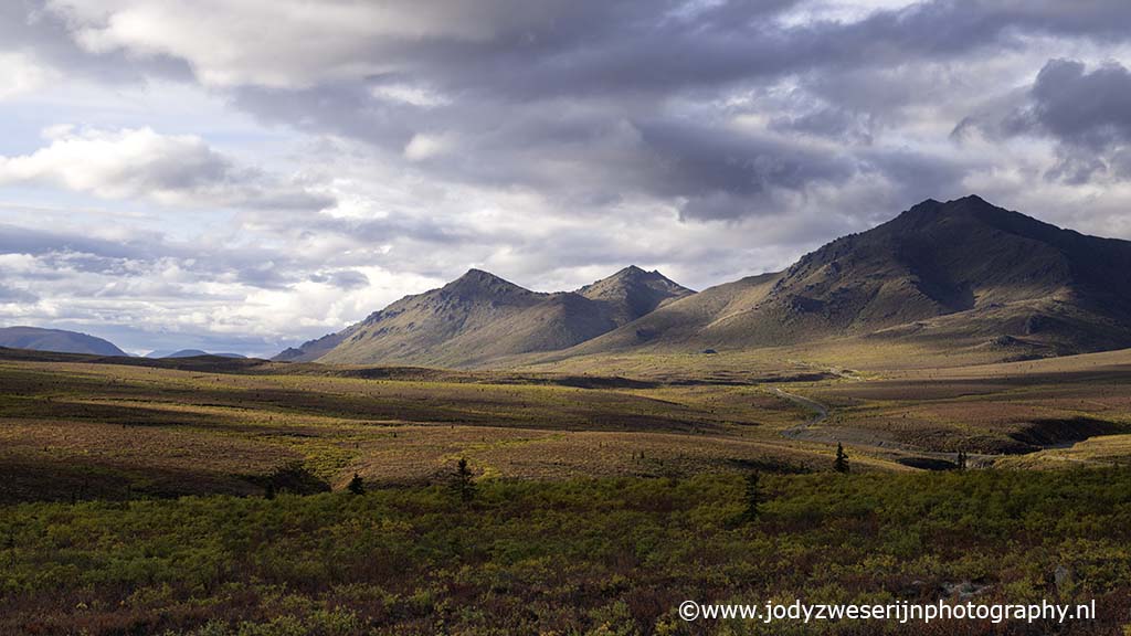 Tombstone Territorial Park Yukon in herfstkleuren